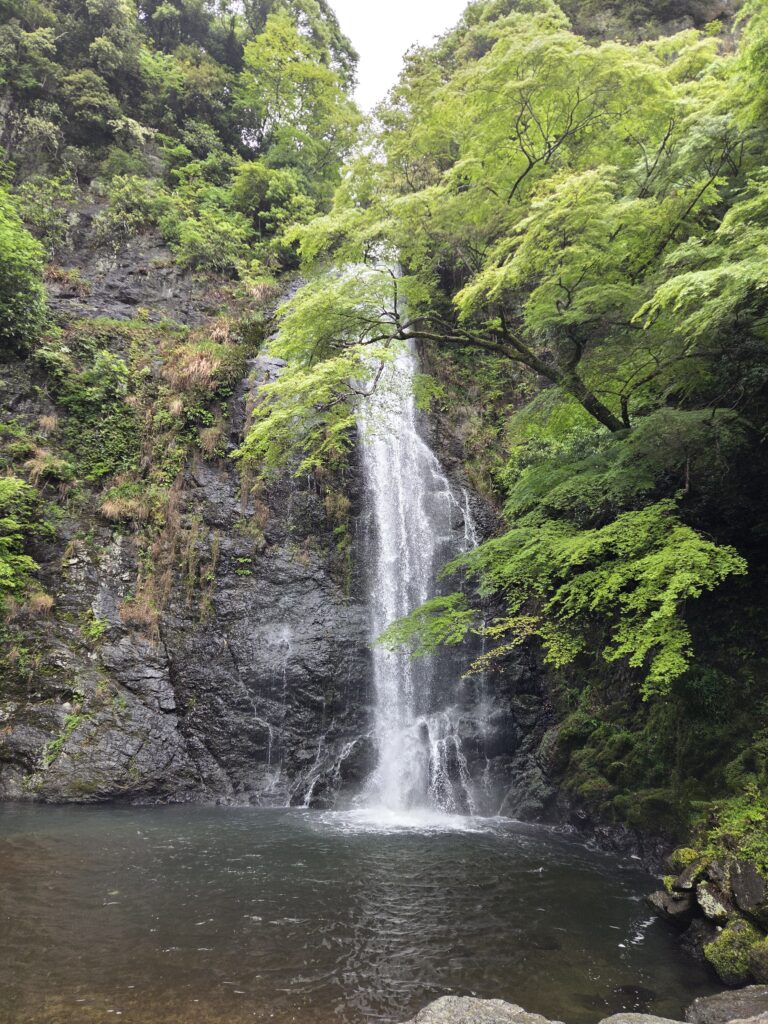 Minoh Falls, a beautiful 33-meter waterfall surrounded by lush forest in Minoh Park, Osaka.