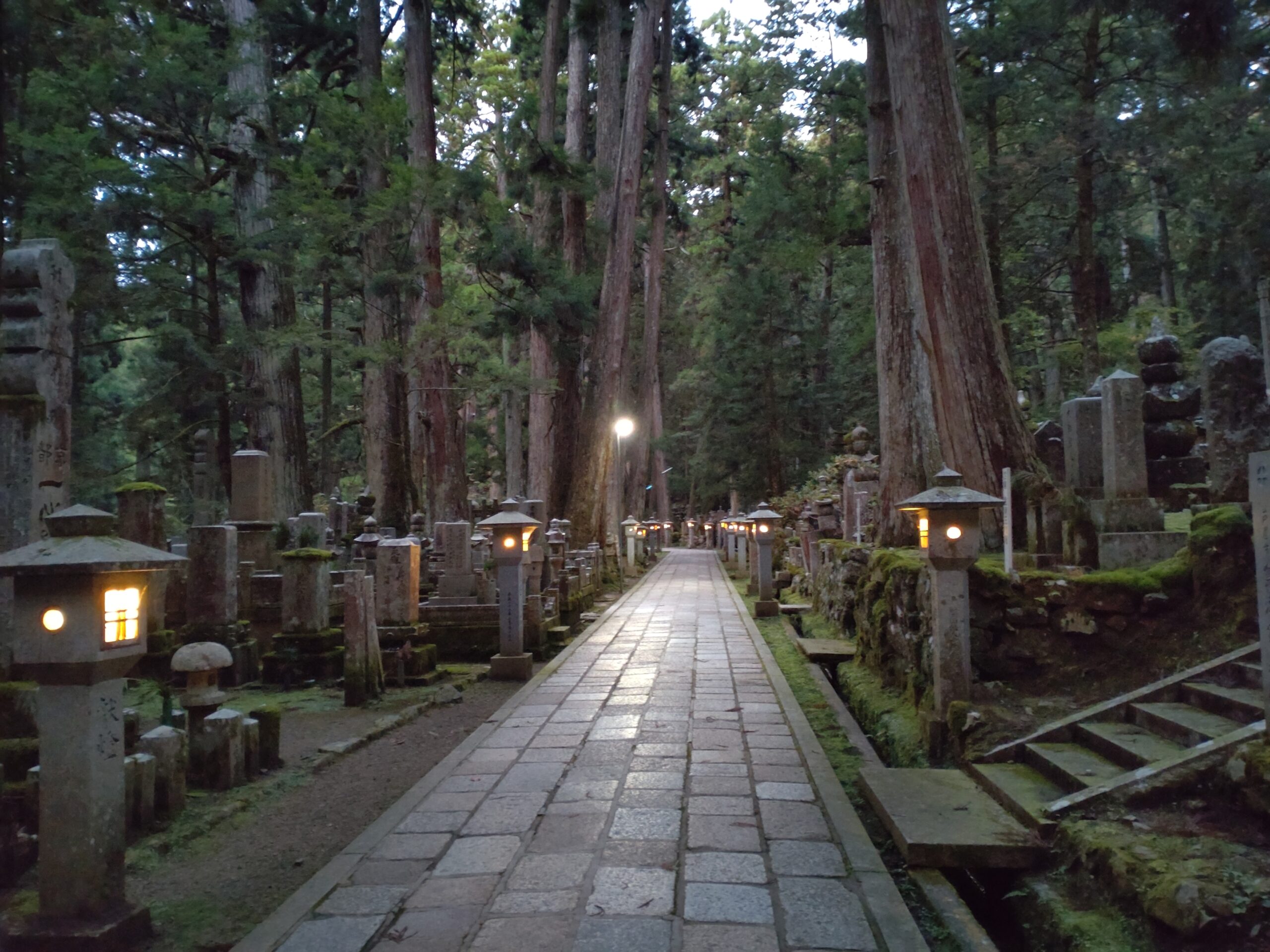 The cedar-lined pathway leading to Okunoin in Koyasan, one of Japan's most sacred Buddhist pilgrimage sites.