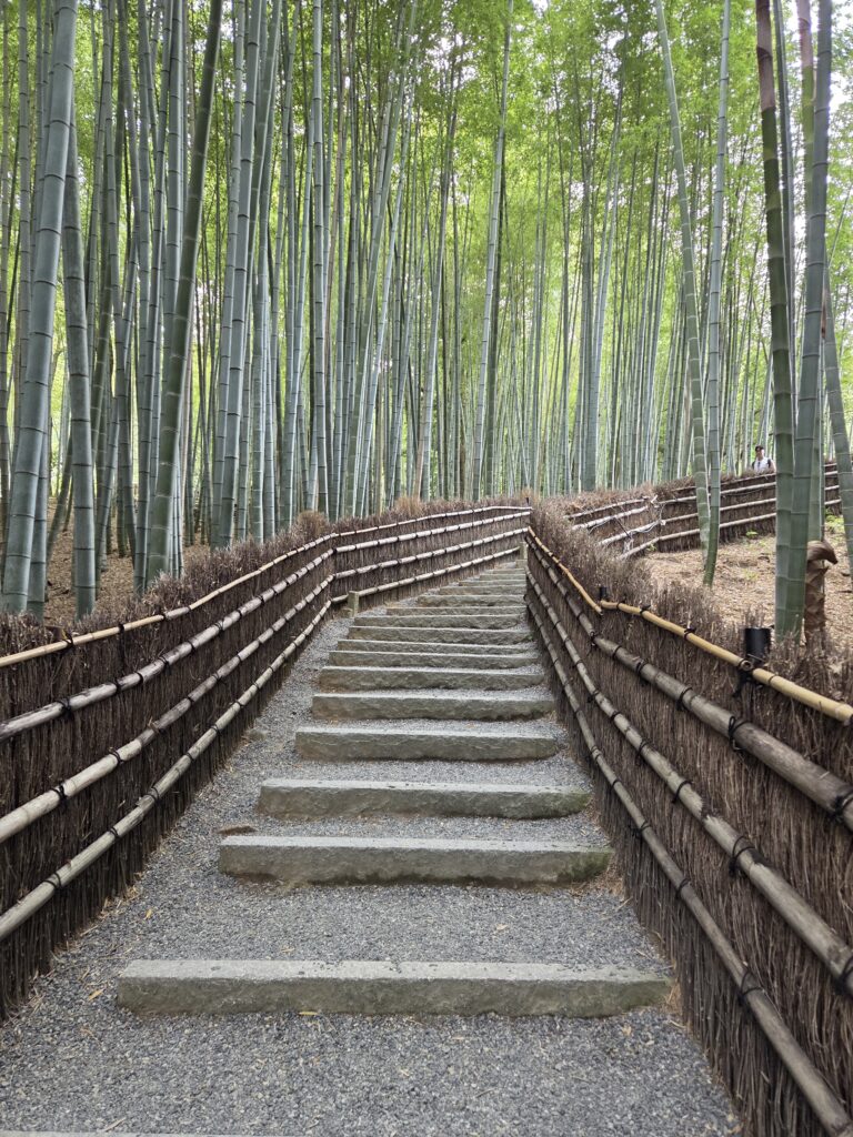 Adashino Nenbutsuji Temple in Kyoto, a peaceful Buddhist temple with around 8,000 stone statues and memorial pagodas.