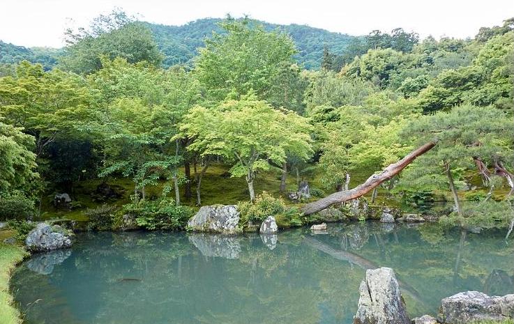 Sogenchi Garden at Tenryu-ji Temple in Arashiyama, Kyoto, with a pond, rocks, and lush green trees