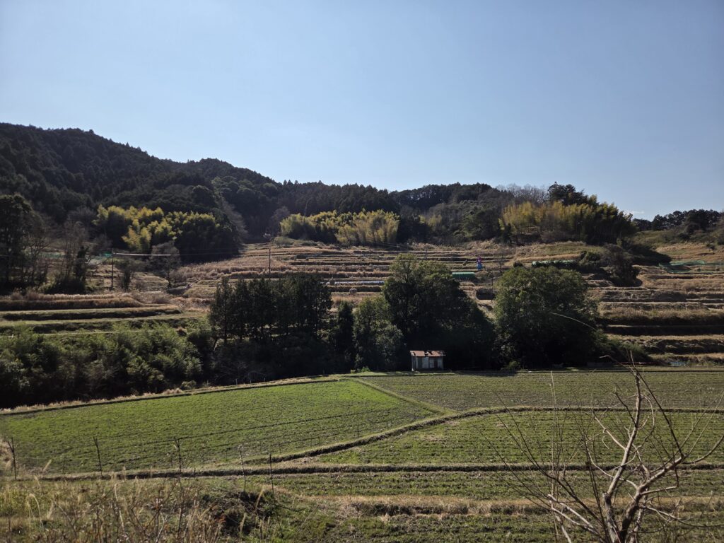 Traditional rice terraces in Asuka Village, Nara, Japan