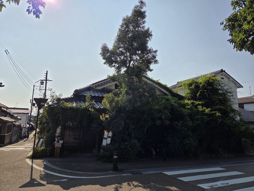 Cafe Hackberry in Imai-cho, Nara, surrounded by greenery on a quiet street
