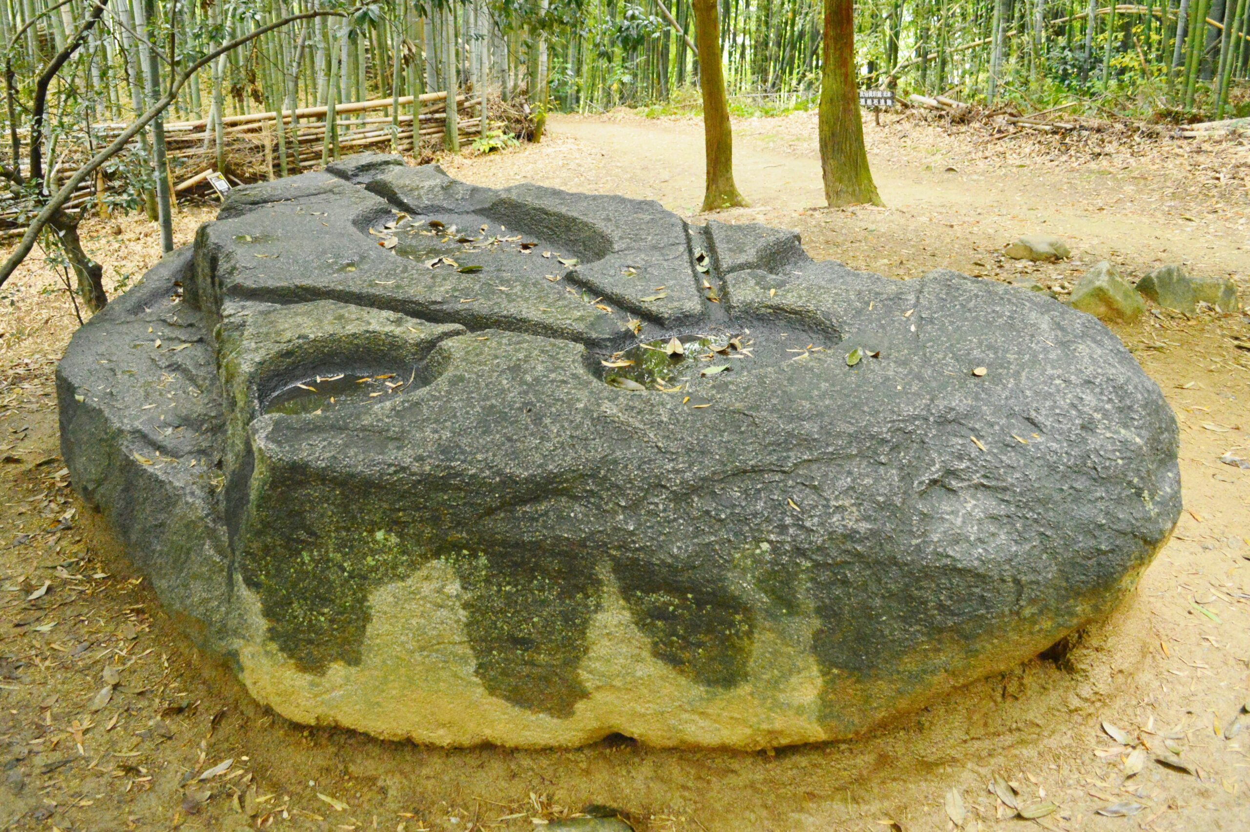 Sakafuneishi, a large carved stone with geometric channels in a bamboo grove in Asuka, Nara